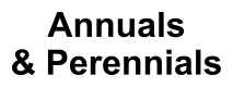 Annuals & Perennials