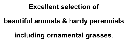 Excellent selection of beautiful annuals & hardy perennials including ornamental grasses.